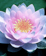 Beckman Therapy shapeimage_2